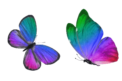 Butterflies